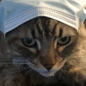 Meet your Posher, Brock